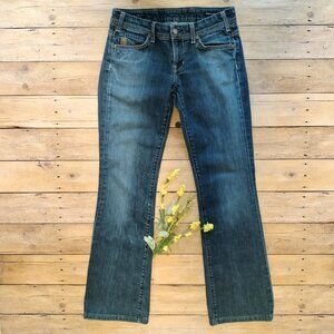 COH Thumbprint H #075 Stretch Bootcut Jeans 28x30 Low Rise Jerome Dahan USA
